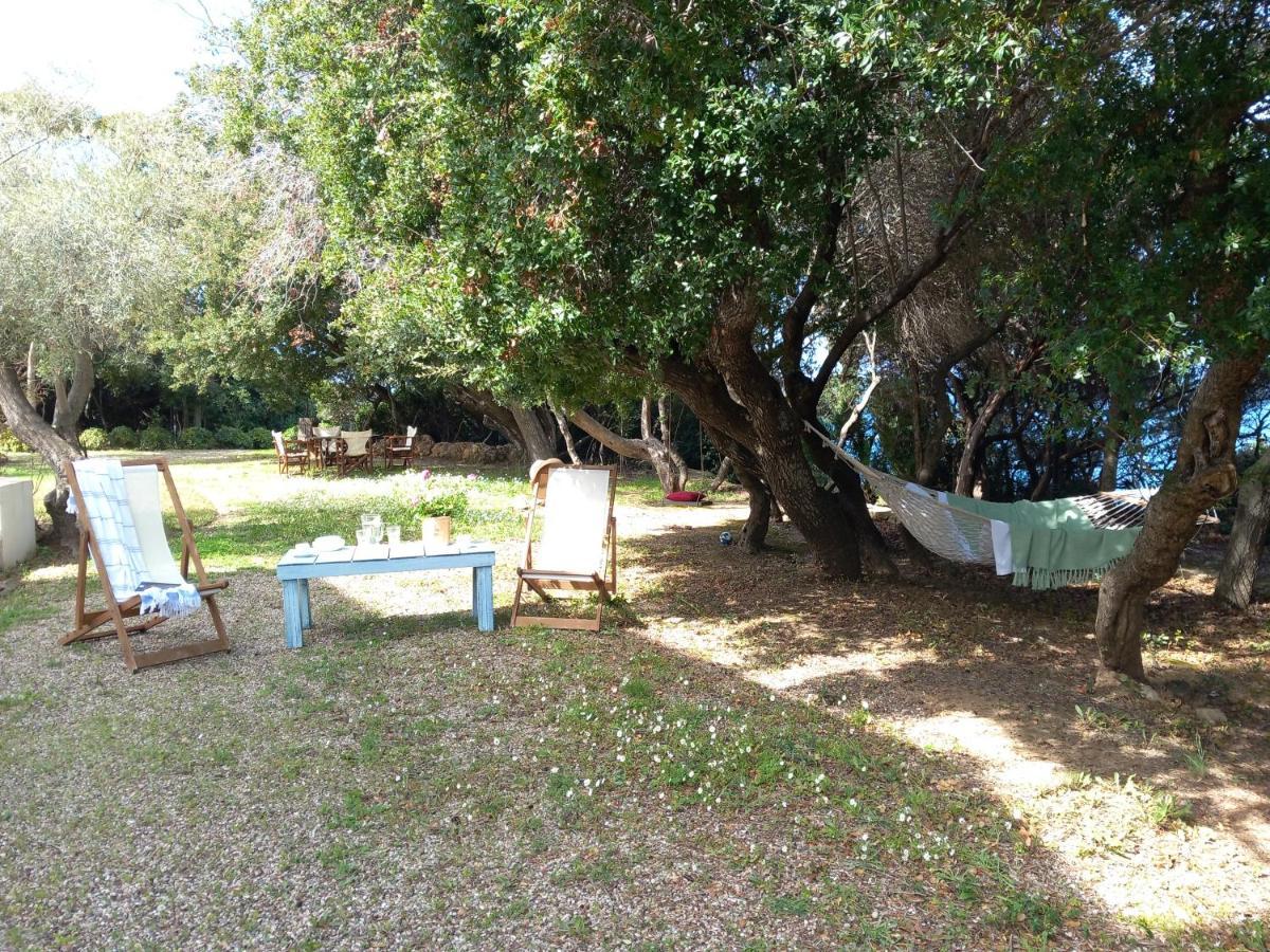 Villa Feia Κατάκολο Εξωτερικό φωτογραφία