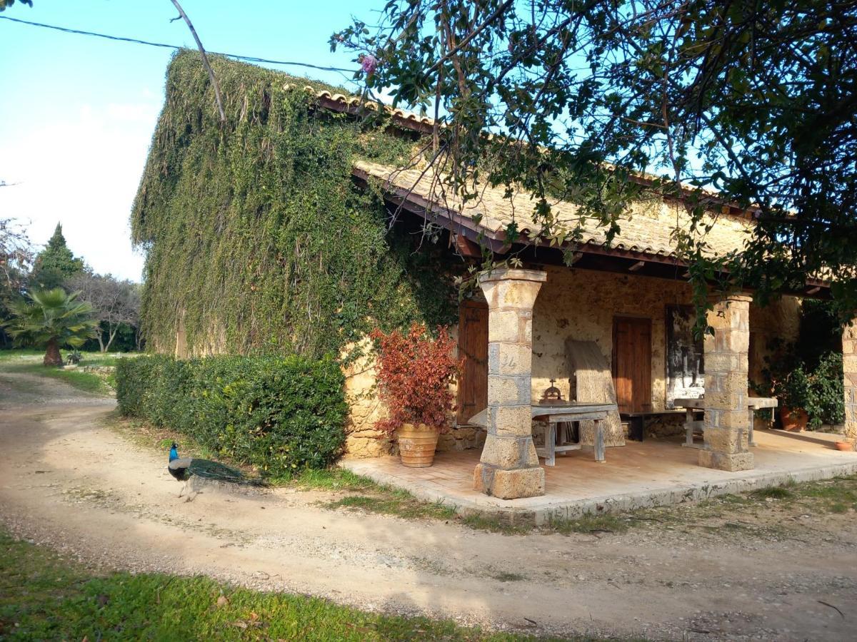 Villa Feia Κατάκολο Εξωτερικό φωτογραφία