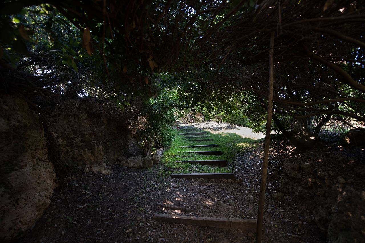 Villa Feia Κατάκολο Εξωτερικό φωτογραφία