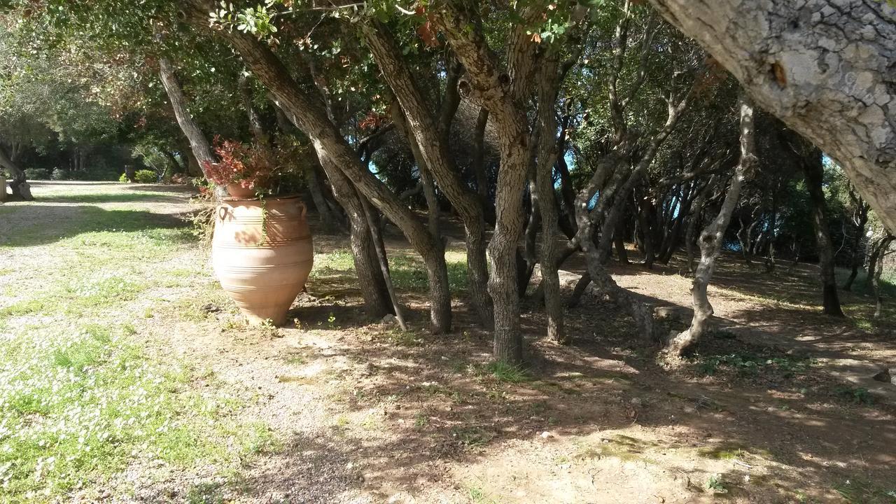Villa Feia Κατάκολο Εξωτερικό φωτογραφία