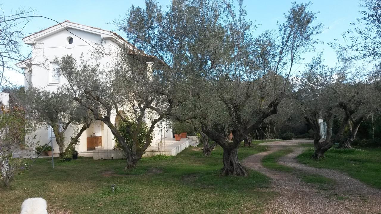 Villa Feia Κατάκολο Εξωτερικό φωτογραφία