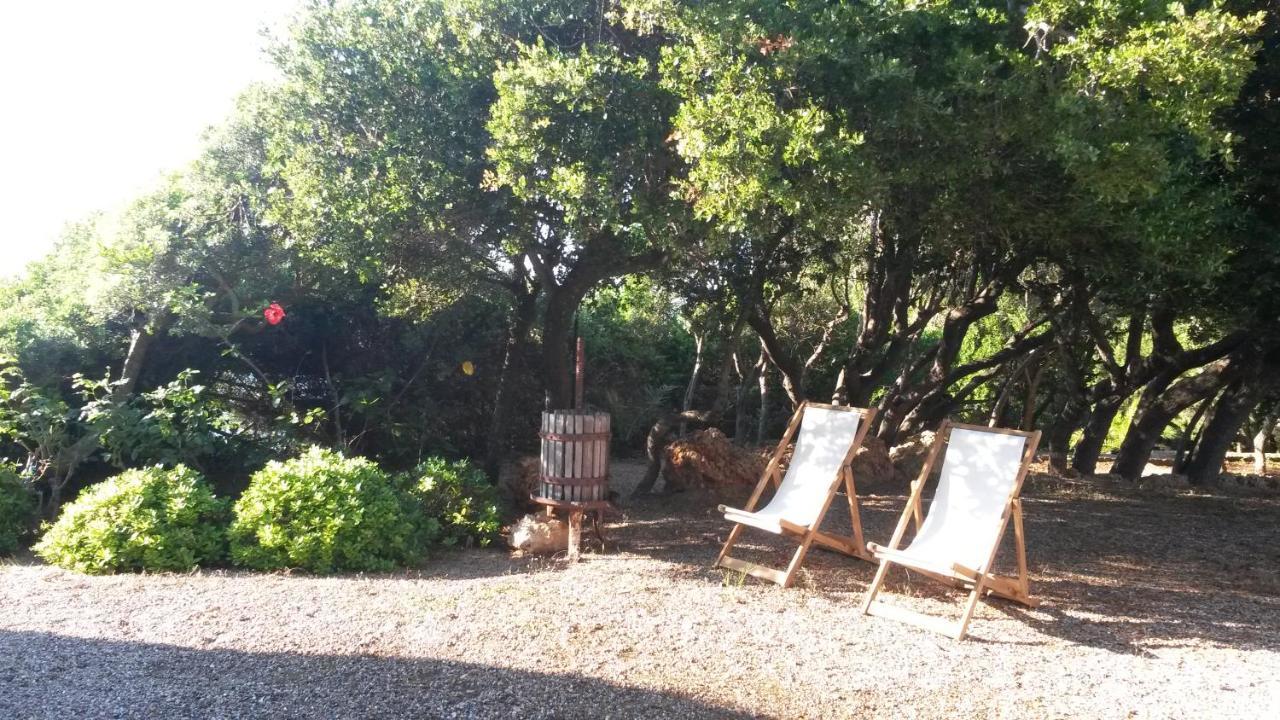 Villa Feia Κατάκολο Εξωτερικό φωτογραφία